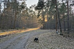 Kuznia-w-siodelku-Spacery-5