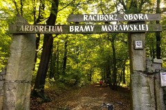 Kuznia-w-siodelku-Las-Obora-2