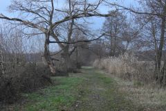 Kuznia-w-siodelku-Lezczok-Grudzien-2