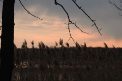 Kuznia-w-siodelku-Lezczok-7