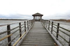 Kuznia-w-Siodelku-Rezerwat-Lezczok-Listopad-10