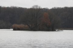 Kuznia-w-Siodelku-Rezerwat-Lezczok-Listopad-7
