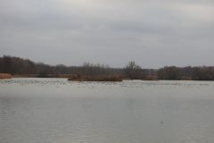 Kuznia-w-Siodelku-Lezczok-Grudzien-4