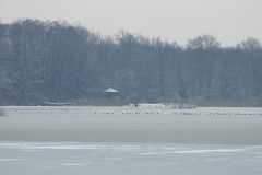 Kuznia-w-siodelku-Rezerwat-przyrody-Lezczok-Luty-13