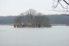 Kuznia-w-siodelku-Rezerwat-przyrody-Lezczok-Luty-9
