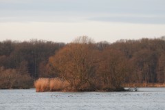 Kuznia-w-siodelku-Rezerwat-Lezczok-Grudzien-4