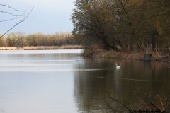 Kuznia-w-Siodelku-Rezerwat-Lezczok-Kwiecien-11