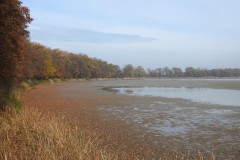 Kuznia-w-siodelku-Rezerwat-Lezczok-Listopad-4