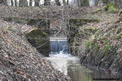 Kuznia-w-siodelku-Rezerwat-przyrody-Lezczok-Grudzien-25