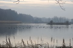 Kuznia-w-siodelku-Rezerwat-Lezczok-Grudzien-10