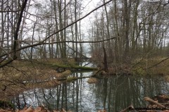 Kuznia-w-siodelku-Rezerwat-Lezczok-Grudzien-16