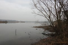 Kuznia-w-siodelku-Rezerwat-Lezczok-Grudzien-4