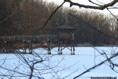 Kuznia-w-siodelku-Rezerwat-Lezczok-Luty-12