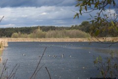 Kuznia-w-siodelku-Rezerwat-przyrody-Lezczok-Pazdziernik-1