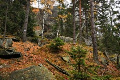 Kuznia-w-Siodelku-Trasy-rowerowe-Lezyce-5
