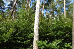 Kuznia-w-Siodelku-Trasa-Rowerowa-Kuznia-Magdalenka-Kuznia-1