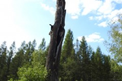 Kuznia-w-Siodelku-Trasa-Rowerowa-Kuznia-Magdalenka-Kuznia-14