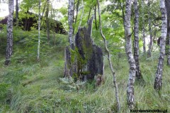 Kuznia-w-Siodelku-Trasa-Rowerowa-Kuznia-Magdalenka-Kuznia-18