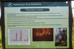 Kuznia-w-Siodelku-Trasa-Rowerowa-Kuznia-Magdalenka-Kuznia-8