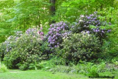Kuznia-w-siodelku-Arboretum-20