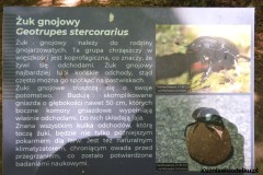 Kuznia-w-siodelku-Arboretum-7