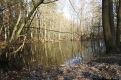 Kuznia-w-siodelku-Zwiedzanie-Obory-22