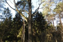 Kuznia-w-siodelku-Zwiedzanie-Obory-26