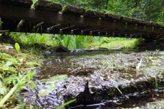 Kuznia-w-Siodelku-Obora-8