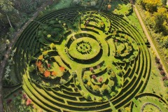 Arboretum-Bramy-Morawskiej-6