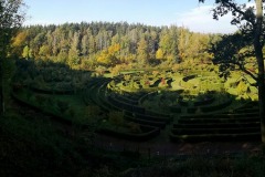Arboretum-Bramy-Morawskiej-7