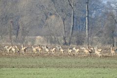 Kuznia-w-Siodelku-Odra-Mala-Panew-5