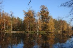 Kuznia-w-Siodelku-Palac-Kopice-13