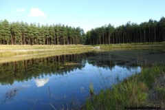Kuznia-w-siodelku-Trasa-rowerowa-poszukiwanie-jeziorka-12