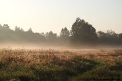 Kuznia-w-siodelku-Ruda-o-poranku-18