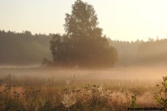 Kuznia-w-siodelku-Ruda-o-poranku-8