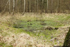 Kuznia-w-siodelku-Meandy-Rudki-20