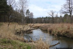 Kuznia-w-siodelku-Meandy-Rudki-5