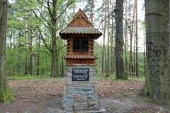 Góra-Zamkowa-Schlossberg-219-m.n.p.m