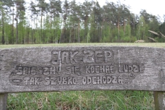 Pamiątkowy-kamień-i-ławeczka-na-trasie-w-stronę-góry-Zamkowej-1