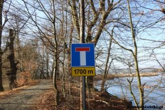 Kuznia-w-siodelku-Ruiny-palacu-w-rezerwacie-1