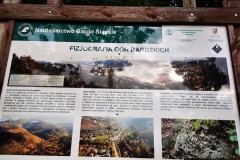 Kuznia-w-Siodelku-Trasy-Zjazdowe-Singletrack-Glacensis-15