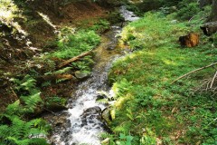 Kuznia-w-siodelku-Trasy-zjazdowe-Klodzko-i-okolice-12