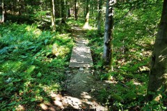 Kuznia-w-siodelku-Trasy-zjazdowe-Klodzko-i-okolice-3