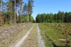 Kuznia-w-siodelku-Trasa-piesza-na-lotnisko-1