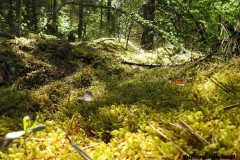 Kuznia-w-siodelku-Trasa-piesza-na-lotnisko-4