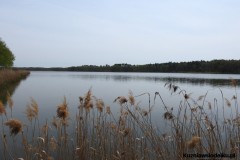 Kuznia-w-Siodelku-Staw-Sangow-11