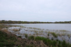 Kuznia-w-Siodelku-Staw-Sangow-22