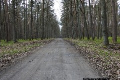 Kuznia-w-Siodelku-Spacer-do-Stawu-Sangow-1