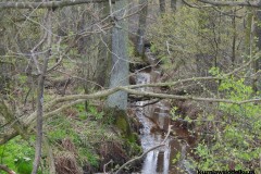 Kuznia-w-Siodelku-Spacer-do-Stawu-Sangow-14