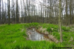 Kuznia-w-Siodelku-Spacer-do-Stawu-Sangow-16